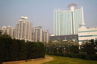 《精灵与橡木之歌》7月20日发售 唯美清新治愈